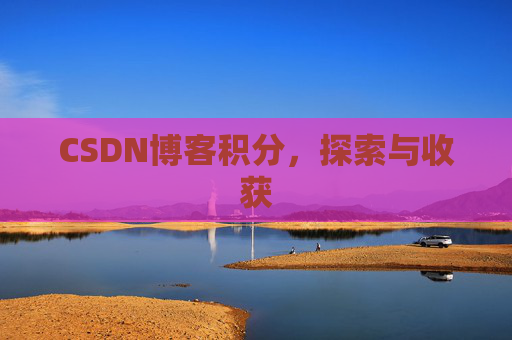 CSDN博客积分,探索与收获