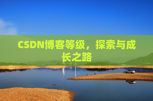 CSDN博客等级,探索与成长之路